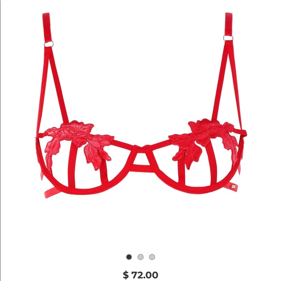 🔴SOLD🔴 NWT Bluebella Eden Bra - Picture 3 of 8
